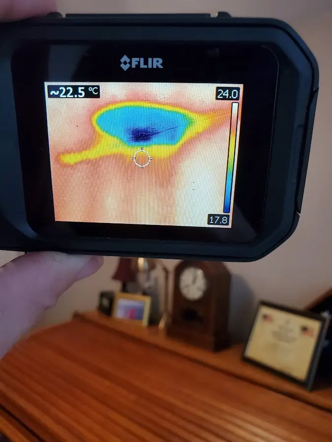Thermal imaging inspection for water damage in Georges